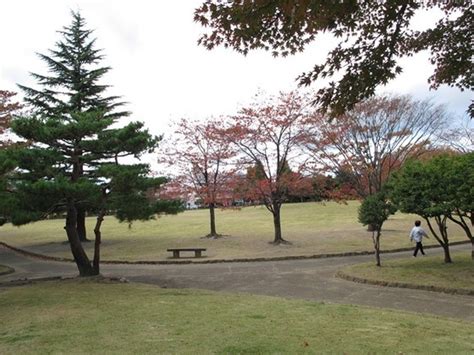 福島ゲイエリア|郡山西部公園 / 東北 / 福島 / 野外ハッテンスポット。